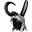 Păr Dragon Guardian (b)