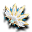Ventaglio del Coniglio Blu