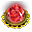 Floare elementală
