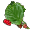Morwa