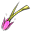 Hibiskusglocke