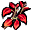 Erba rossa