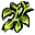 Erba verde