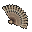 Ventaglio Sopracciglia